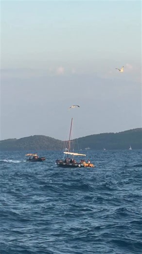 1K views · 281 reactions | Say YES! to Zadar Region  From...