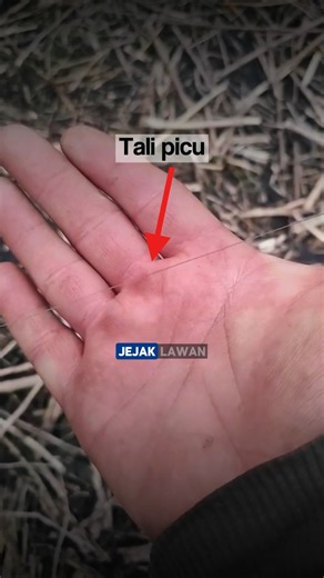 ternyata aslinya sulit untuk dilihat