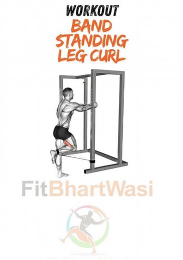 Band Standing Leg Curl FitBharatWasi App