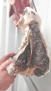 Mon boucher m'explique la maturation de la viande de Boeuf de Chalosse | Qualité Landes