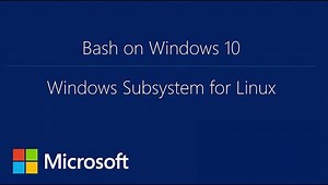 How to install Bash on Windows | Robot Balok