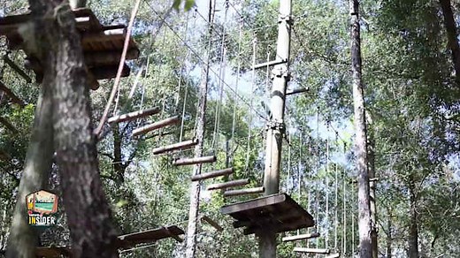 🌳Discover the Orlando Tree Trek Adventure Park: Family-friendly aerial adventure minutes from Disney