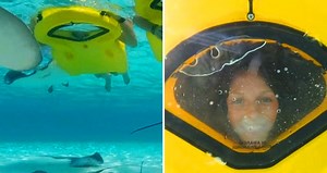 The "Zayak Sea Sled" Has A Built-In Window So You Can Explore Underwater Without A Snorkel