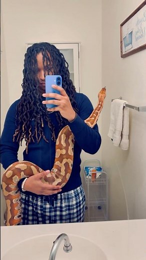 My Large Female Blood Python