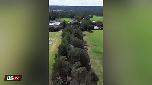 Hurricane helene leaves Augusta National’s Magnolia Lane devastated