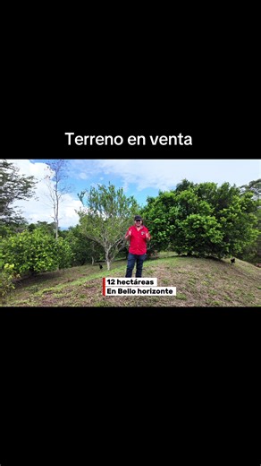Hay terrenos… y hay oportunidades. Esta es una oportunidad real. 12 hectáreas tituladas en Bello Horizonte, con ojo de agua y árboles frutales produciendo. A solo 35 minutos de Tarapoto. 🌿 Agua natural 🌴 Producción activa 🚗 Fácil acceso 📜 Todo en regla Si estás buscando invertir en tierra con valor real y potencial a futuro, este terreno puede marcar la diferencia en tu patrimonio. Escríbeme por interno y coordinamos visita. #tarapoto_perú🇵🇪💚🌴 #propiedadesentarapoto #inversion #casadecam