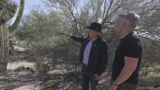 Nancy Guthrie’s neighborhood: Poorly lit, filled with dense desert brush