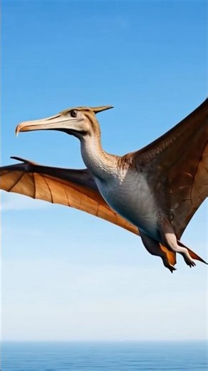 Pteranodon - USA #dinosaur #pterosaurus #dinopedia #dinopediaworld