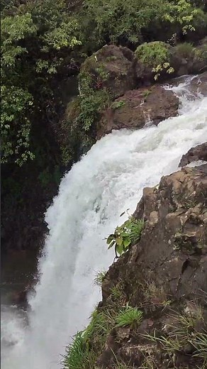 Thoseghar Waterfall #waterfall #thoseghar #satara #rain #water #nature #greenary #ठोसेघर धबधबा
