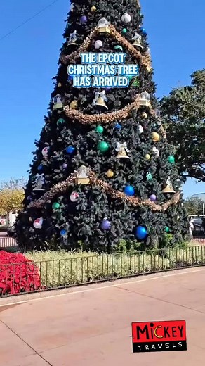 The EPCOT Christmas tree is officially up for the 2025 holiday...