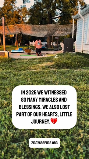 Ziggys Refuge on Instagram: "Making these posts is debilitatingly painful. These stories come straight from our hearts. We aren’t pulling from scripts or trends we’re reliving every moment. Every fight. Every loss. Every ounce of hope we held for them. So when you’re crying watching these reels, please know we’re absolute messes while making them. Especially when the stories are about the ones we’ve lost or the ones still struggling. If they’re going through hard times, we’re going through even