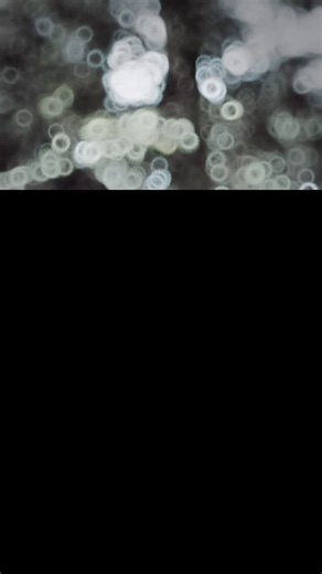 🐣❤️ on Instagram: "Kysh notice kite a ? 😂❤️‍🔥🐣"