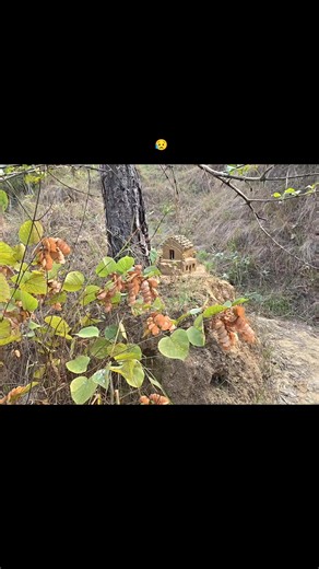 😥 #MiniProject #sad #fyp #foryou