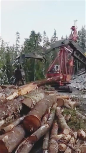 Extreme Logging Trucks 6 Kenworth W900B and#trending #for #foryoupage #viral #shortvideo #viralvideo