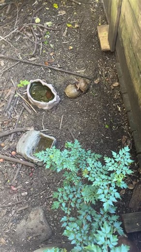 Mallory Gardiner on Reels