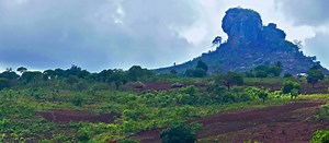 Mozambique hunting trips