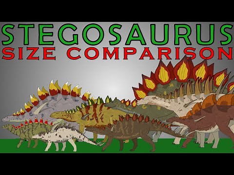 Dinosaurs Size Comparison: Stegosaurus (Stegosaurus, Kentrosaurus, Hesperosaurus)