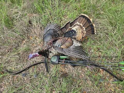 Chasing Spring Thunder: Traditional Archery Turkey Hunt