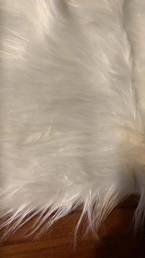 Refonte de la page de garde d'Andrea 🍯