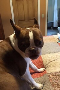 120K views · 3.4K reactions | Seriously she's so dramatic over a fart. | GabbyGirl Princess Willow | Facebook