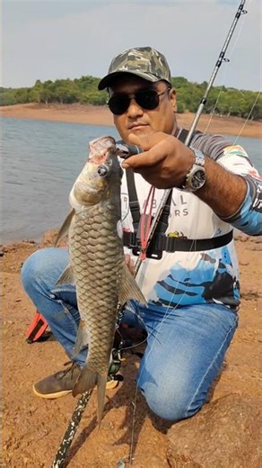 Mahseer Fishing 🎣 Video//New Fishing rod setup //Fishing short Videos #fishing #reels #shorts