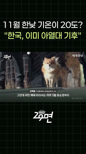 11월 한낮 기온이 20도? "한국, 이미 아열대 기후"