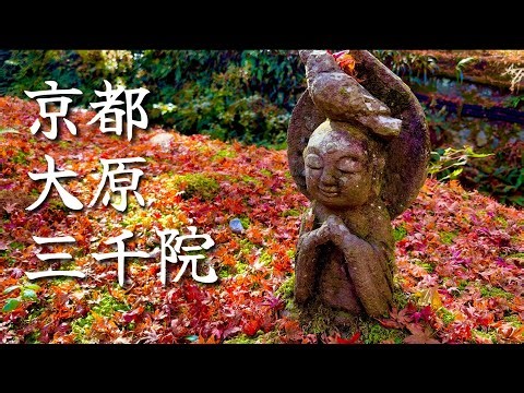 【京都】紅葉の大原三千院に行って御朱印をいただく！