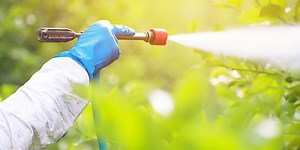 Catat, Ini Jenis-jenis Pestisida Pertanian yang Sering Digunakan