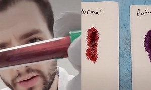 The spread of fake coronavirus news has dangerous consequences