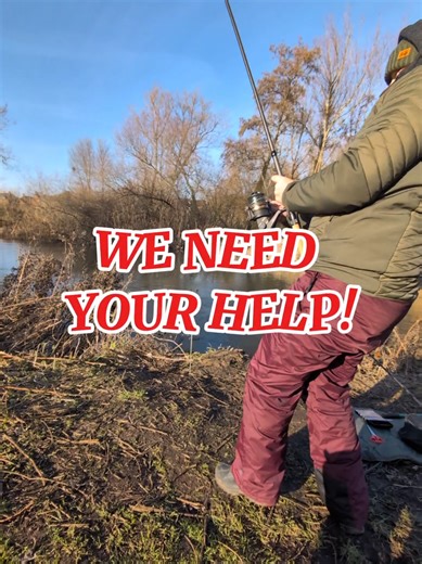 give us your top tips for winter chub and grayling!! ❄️🐟 #fishing #fishtok #womenwhofish #winterfishing #wlw