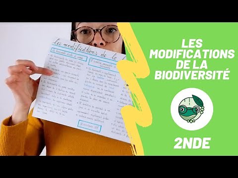 Changes in Biodiversity - 2nd Year - Ms. Science