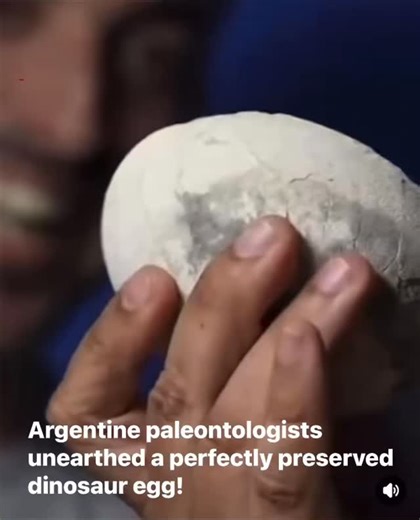Museum of Artifacts on Instagram: "“Paleontologists in Argentina have uncovered an astonishing relic of the ancient world — a perfectly preserved dinosaur egg dating back 70 million years. A rare treasure, untouched since the age of giants #dinosaur #jurassicpark #dinosaurs #dino #jurassicworld #trex #paleontology #jurassic #art #prehistoric #dinosaursofinstagram #paleoart #jurassicworlddominion #tyrannosaurusrex #fossil #dinosaurios #jurassicworldfallenkingdom #dinosaurart #velociraptor #tyrann