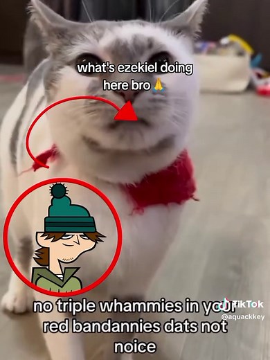 Hearing Ezekiel: A Total Drama Island Mystery Revealed