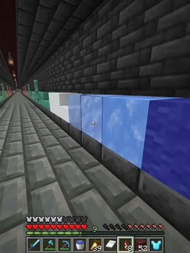 I Collected EVERY Block in Survival Minecraft (6)