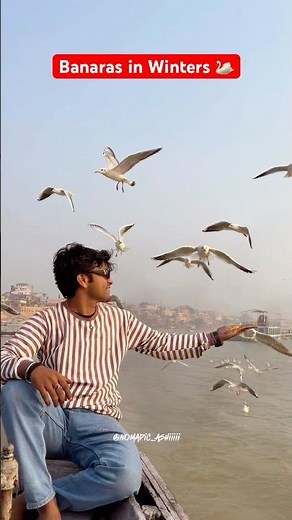 Beauty of Banaras in Winters : Siberian birds in Varanasi 🦢 #varanasi #siberianbirds #banaras #yt