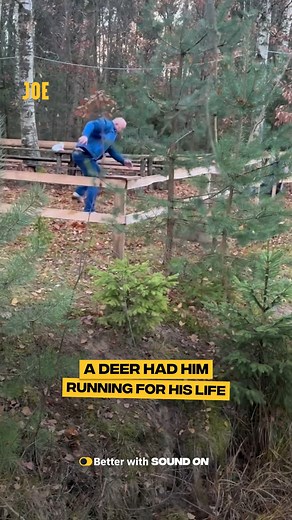 I'm cracking up 😂 | Comedy JOE