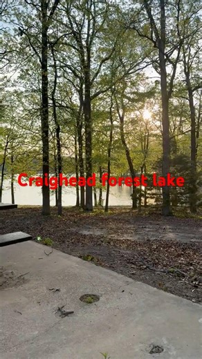 Craighead forest lake