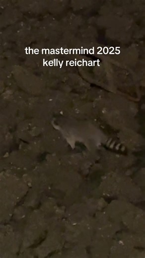 El maestro de los mapaches: momentos adorables en el agua