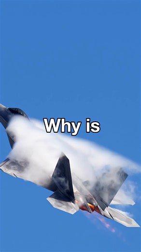 Why Is the F-22 Canopy Filled with Pure Vacuum #usarmy #usairforce #viral #usnavy #aircraft #aviation #aviations #fyp #fbreels #fighterjet | The Curiosity Cabinet