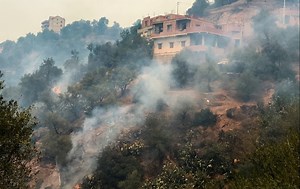 Death Toll From Algeria Forest Fires Rises to 42