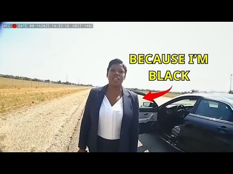A police officer harassed a Black woman at a traffic stop, unaware that she was a judge.