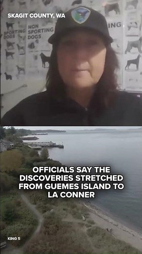Washington mystery deepens as 21 dead canines are found