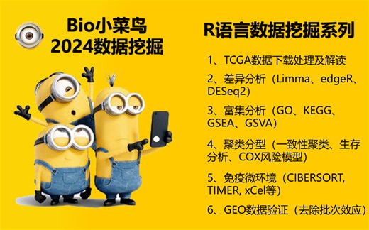 2024生信数据挖掘系列课程