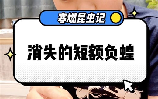 消失的短额负蝗
