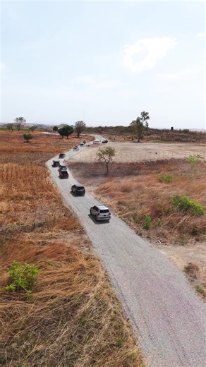 Discover Mai Shayi Coffee: A Nigerian Excellence