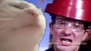 Devo - Whip It | Vibe Cat