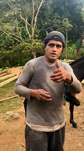 Poniendo vitaminas a mi mular | ByronS