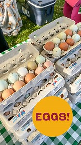 🥚 Get your fresh eggs! The Downtown Growers' Market has at least 5-10 farmers that have fresh chicken eggs at the Market each Saturday. Keep an eye out for duck, and quail eggs! For best selection come before 10am. Farmers are purposefully placed on the outskirst of the Market- walk the perimeter and choose the eggs that speak to you! 🍳 Enjoy cage-free eggs from chickens that are fed well and get to smell the fresh air every day. Some eggs are organic, however all farmers at the Market utilize
