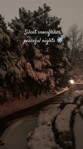 Night❄️⛄️#viral #shorts #shortvideo #night #snow #viralvideo #fyp #video #explore #trending #fypシ