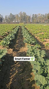 Smart Farmer 🌿🌿 | 𝐒𝐮𝐧𝐢𝐥 𝐕𝐞𝐫𝐦𝐚 𝐇𝐑